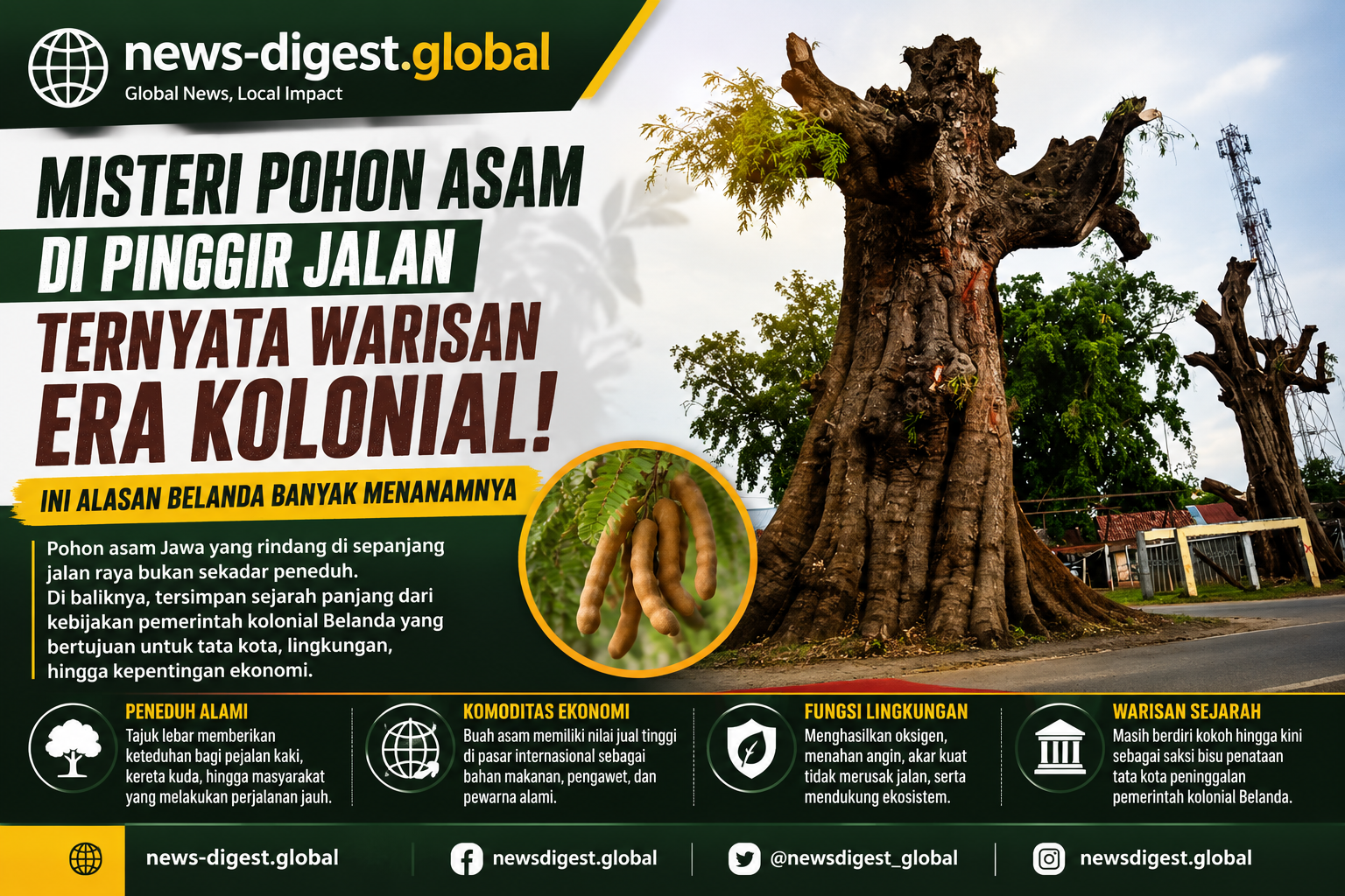Mengapa Pohon Asam Jawa Banyak Menghiasi Jalan Raya? Ternyata Ini Warisan Tata Kota Era Kolonial